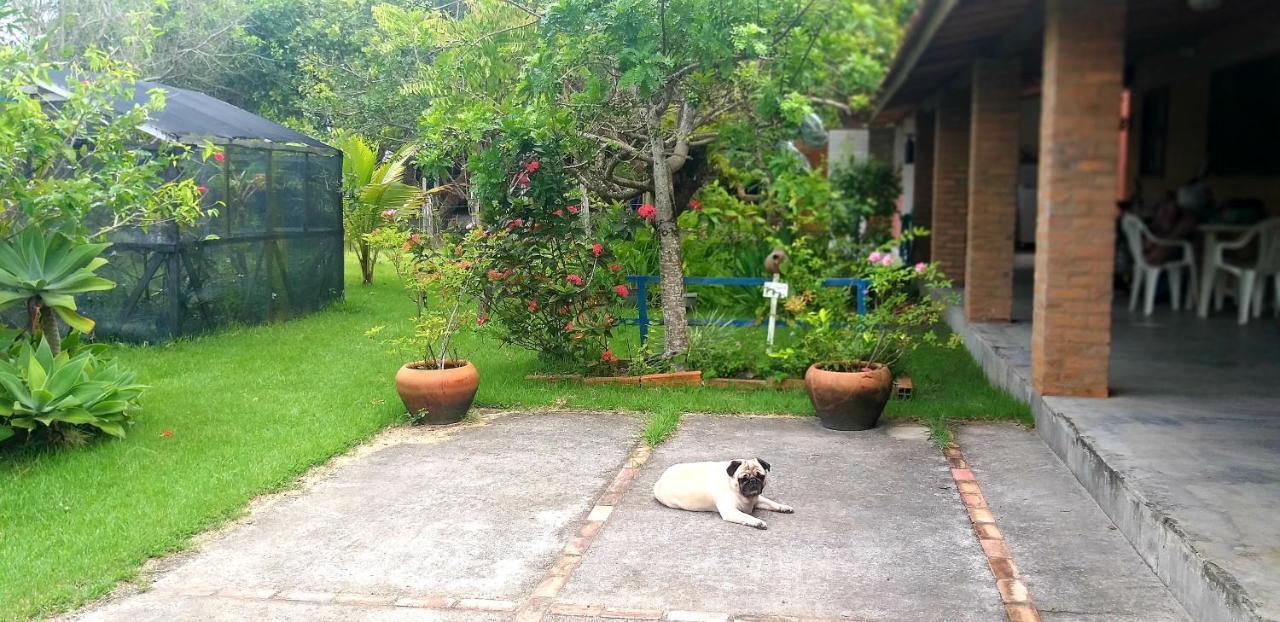 Casas Lindas No Paraiso! Costa Dourada Zewnętrze zdjęcie