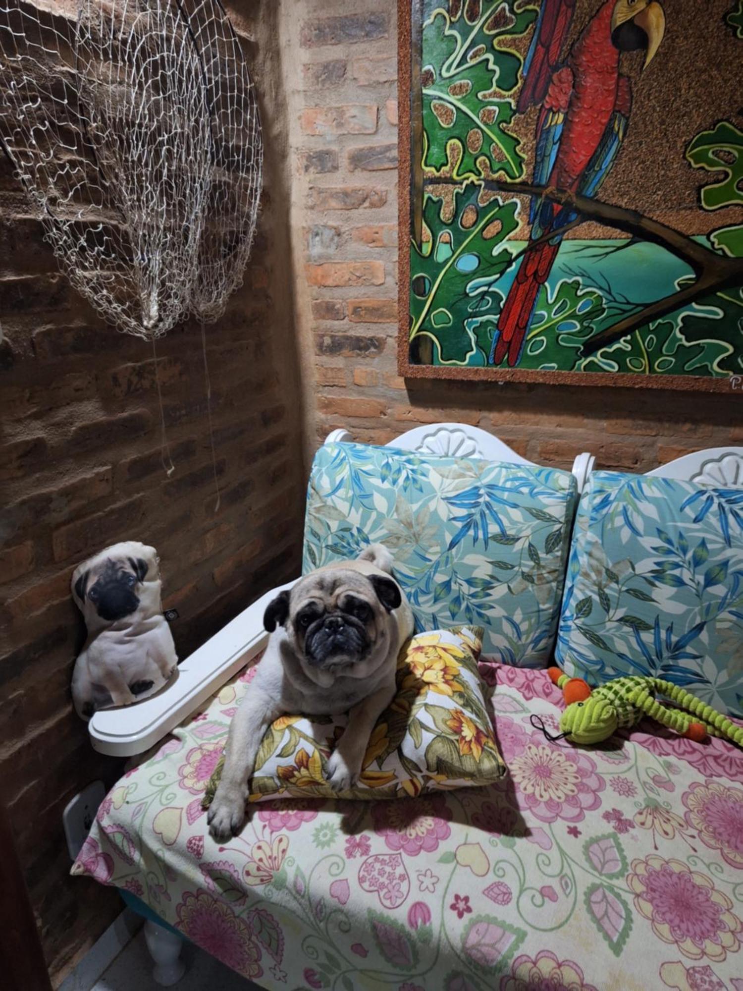 Casas Lindas No Paraiso! Costa Dourada Zewnętrze zdjęcie