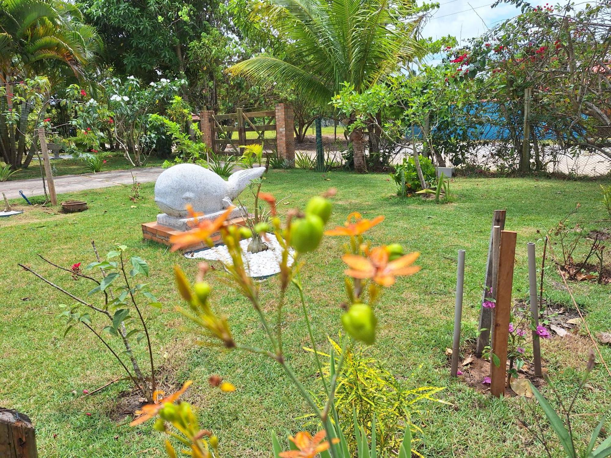 Casas Lindas No Paraiso! Costa Dourada Zewnętrze zdjęcie