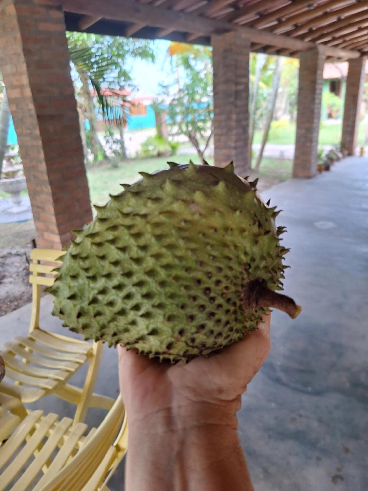 Casas Lindas No Paraiso! Costa Dourada Zewnętrze zdjęcie