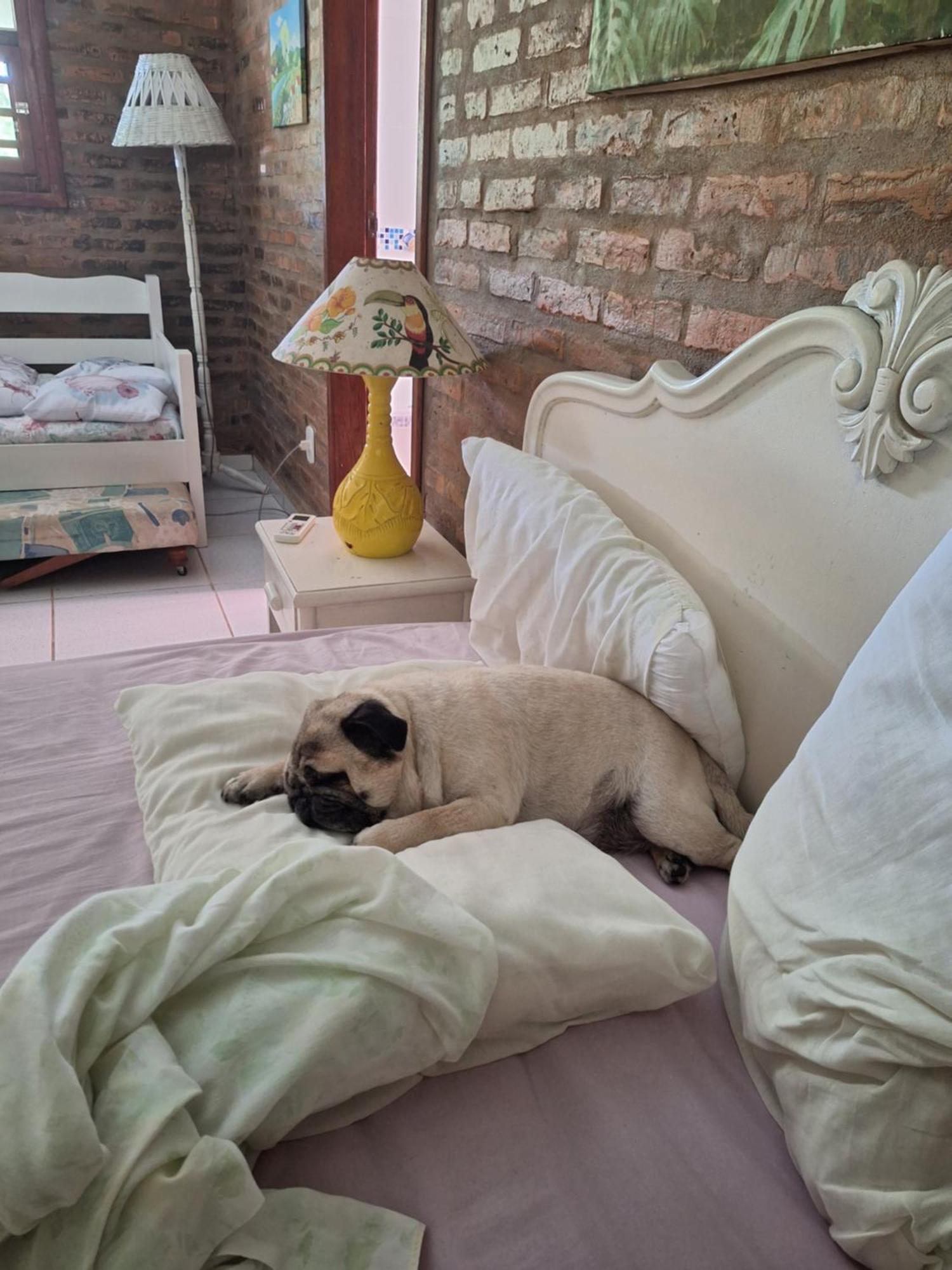 Casas Lindas No Paraiso! Costa Dourada Zewnętrze zdjęcie