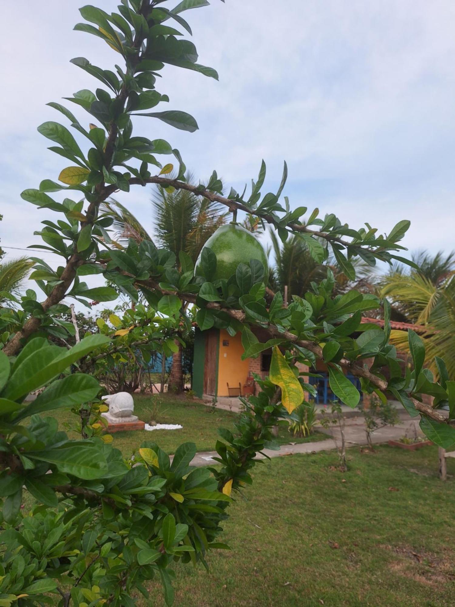 Casas Lindas No Paraiso! Costa Dourada Pokój zdjęcie